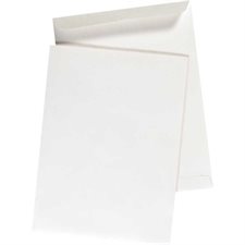 Enveloppe à catalogue blanche 10 x 13 po. pqt 100