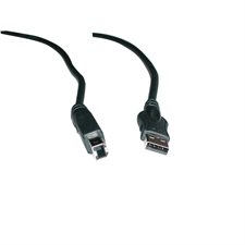 Câble USB série A / B USB 2.0 10'