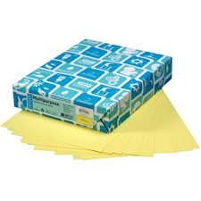 Papier couverture à usage multiples EarthChoice® Bristol Format lettre, 8-1 / 2 x 11" canari