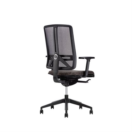 Fauteuil directeur Radience