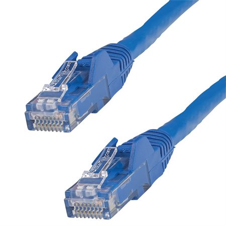 Câble UTP Cat6 15 pieds