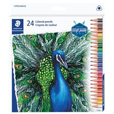 Crayons de couleurs boîte de 24