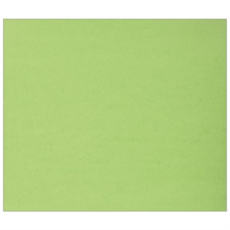 Carton de couleur vert