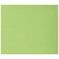 Carton de couleur vert