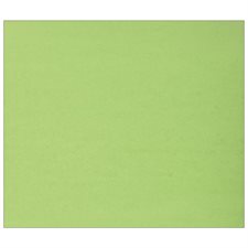 Carton de couleur vert
