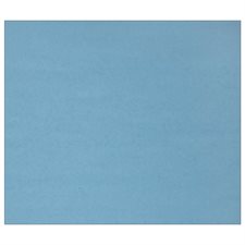 Carton de couleur bleu pâle
