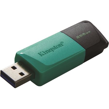 Clé USB DataTraveler Exodia M 256 Go