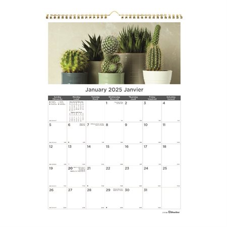Calendrier mural mensuel plantes succulentes (2025)