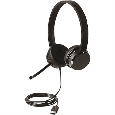 Casque stéréo USB Lenovo 100