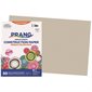 Papier de construction 12 x 18 po (paquet de 25) gris