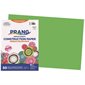 Papier de construction 12 x 18 po (paquet de 25) vert brillant