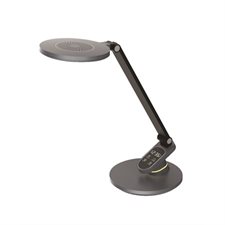 LAMPE BUREAU DEL TANDY GRIS