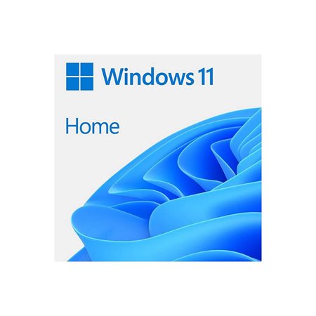 SYSTEM WINDOWS 11 PRO MS.