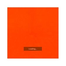 Feutre de couleur unie - Orange