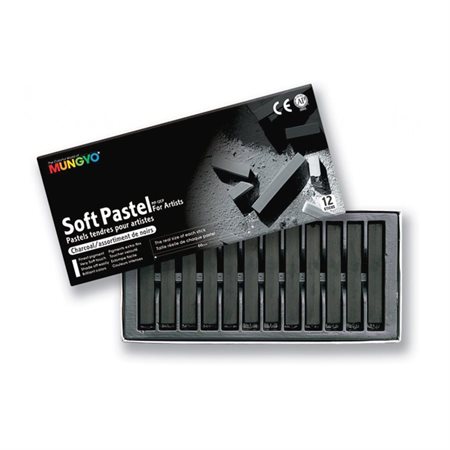 Bâtons de fusain noir