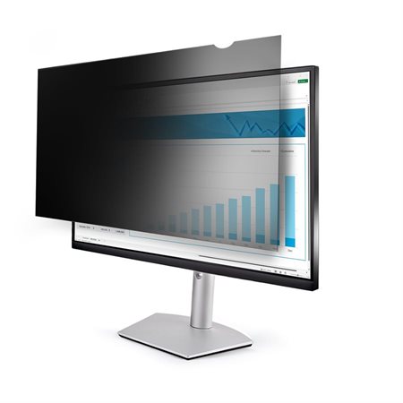 Filtre de confidentialité pour moniteur de 24 po.