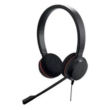 CASQ.EVOLVE 20SE USBC MS STER