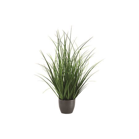 PLANTE ART.GAZON INTERIEUR POT