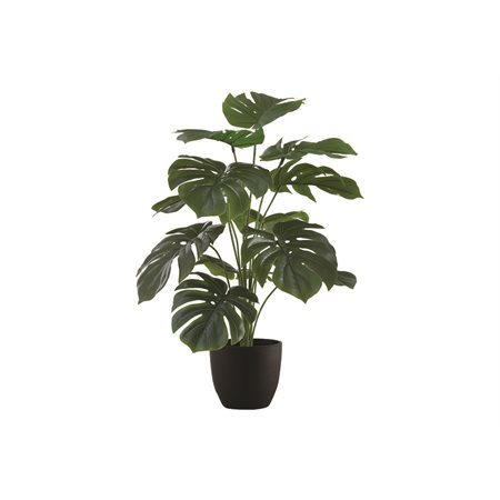 PLANTE ART.MONSTERA POT 5" NR