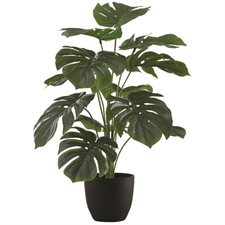 Plant de monstera artificielle