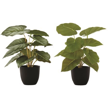 Plant d'epipremnum artificielle