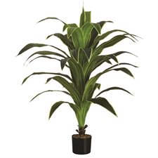Plant de dracaena artificielle
