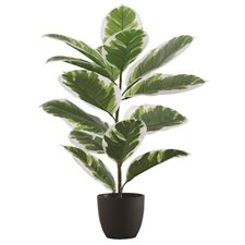 Plant en caoutchouc artificielle