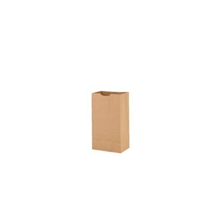 Sac en papier kraft