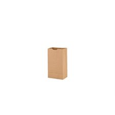 Sac en papier kraft