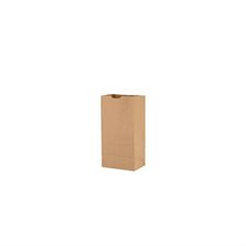 Sac en papier kraft