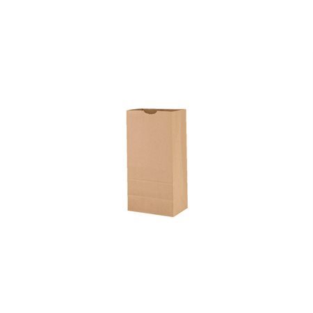 Sac en papier kraft