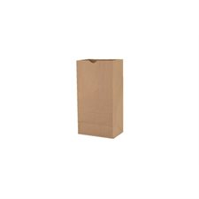 Sac en papier kraft