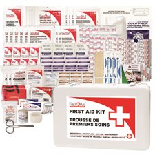 Trousse de premiers secours de l'Ontario (secteur 9)