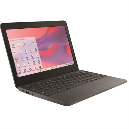 Ordinateur portable Lenovo 11,6 po.