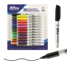 Marqueurs permanents assortis