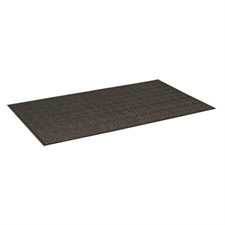 Tapis d'entrée Triathlon