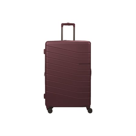 Valise Munic