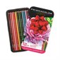 Ensemble de crayons de couleur Premier - Jardin botanique