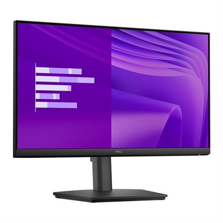 Moniteur E2425HSM