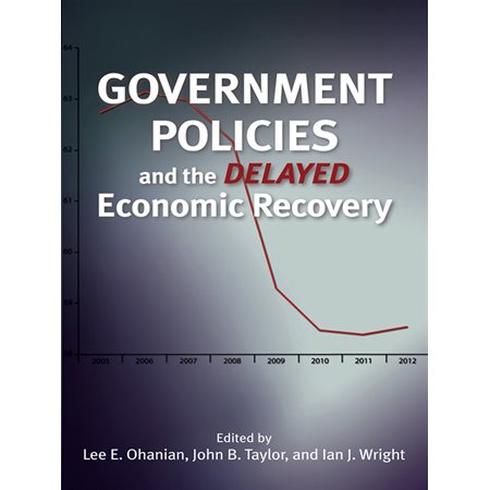 Government Policies and the Delayed Economic Recovery