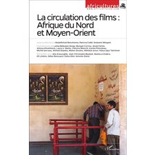 La circulation des films : Afrique du Nord et Moyen-Orient