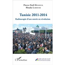 Tunisie 2011-2014