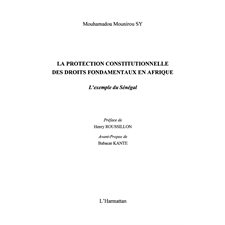 Protection constitutionnelle  des droits fondamentaux en afr