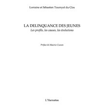 Délinquance des jeunes