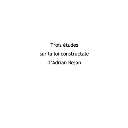 Trois études sur la loi constructale d'adrian bejan