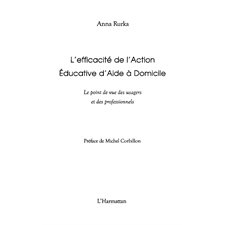 L'efficacité de l'action éducative d'aide À domicile - le po