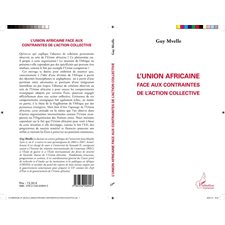 L'Union Africaine face aux contraintes de l'action collective