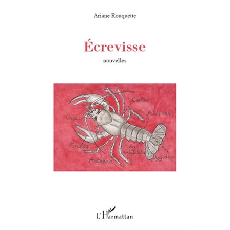 Ecrevisse   nouvelles