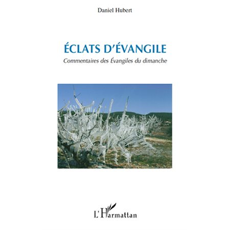 Eclats d'evangile - commentaires des evangiles du dimanche