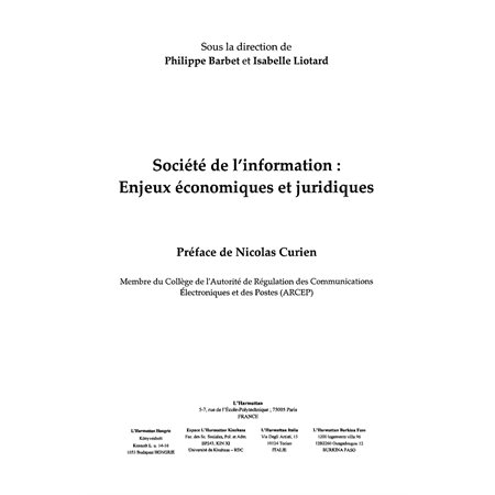 Sociétés de l'information enjeux économi